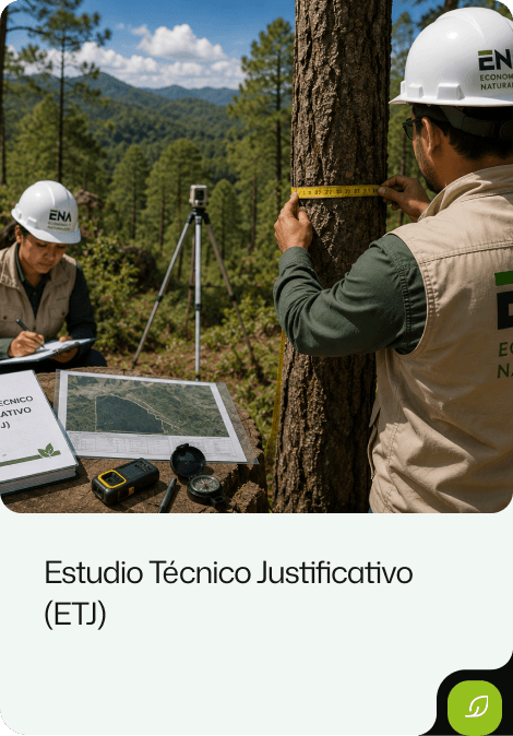 Estudiotecnico