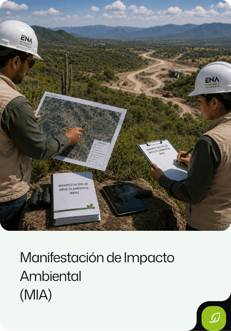 ManifestacionEna