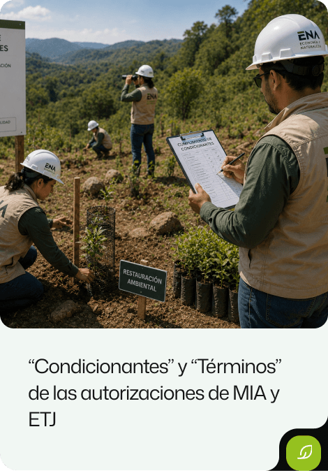 condicionantesEna